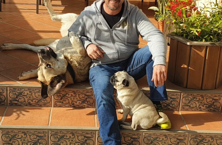 L’EDIL DE BENESTAR ANIMAL, JOSÉ LUÍS LEÓN GASCÓN, ANUNCIA LA NOVA LLEI ESTATAL QUE ELIMINA LA COSIFICACIÓ DELS ANIMALS